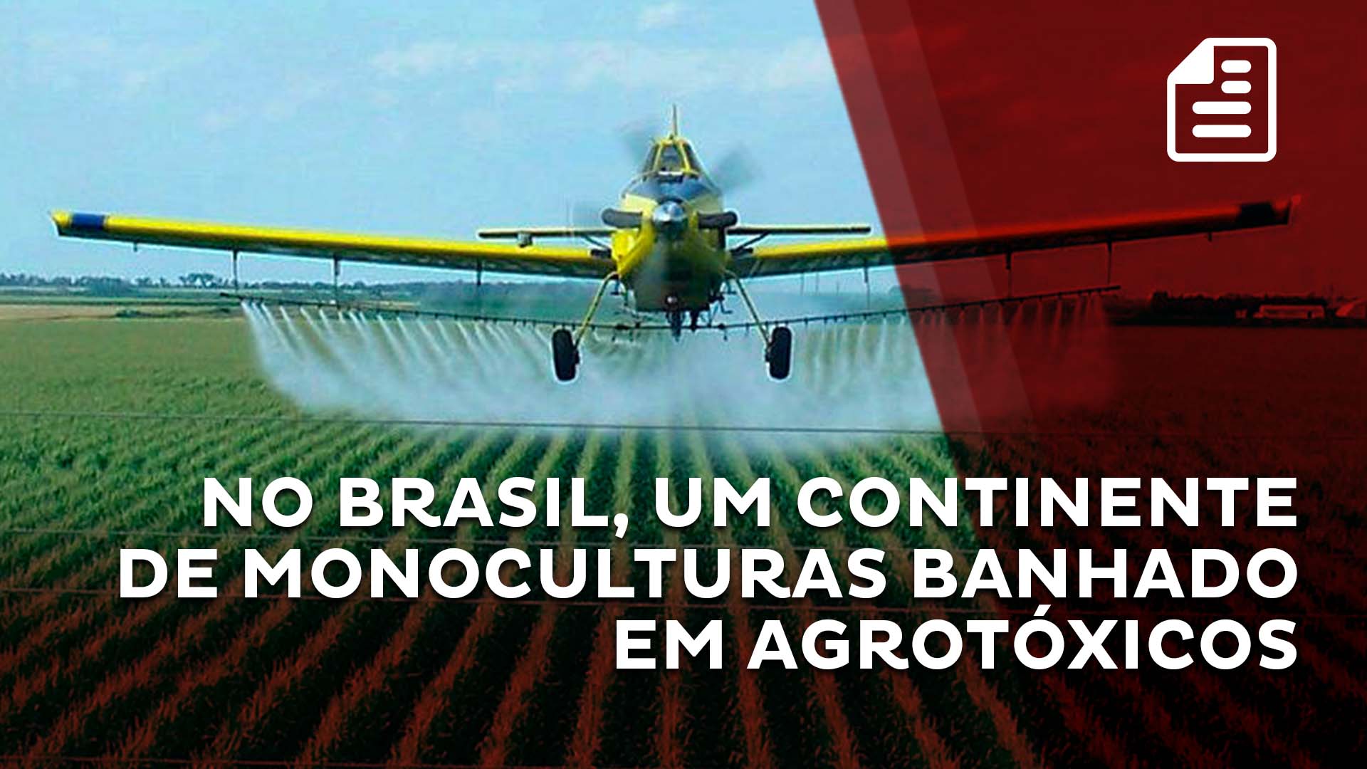 No Brasil, um continente de monoculturas banhado em agrotóxicos
